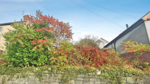 Development Opportunity in SWANSEA photo